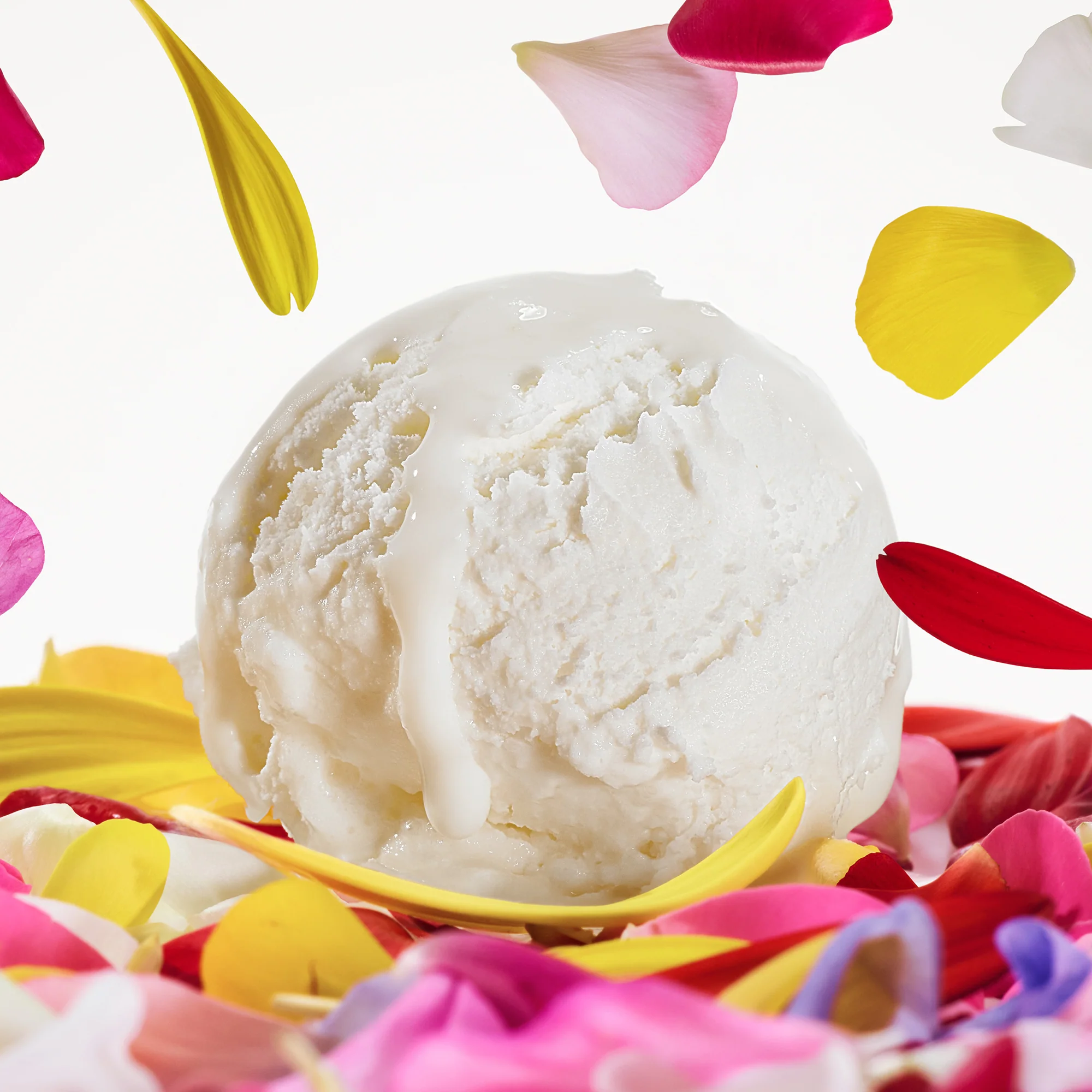 DOLCE&GABBANA Dolce Magnolia 75 ml - Image 6