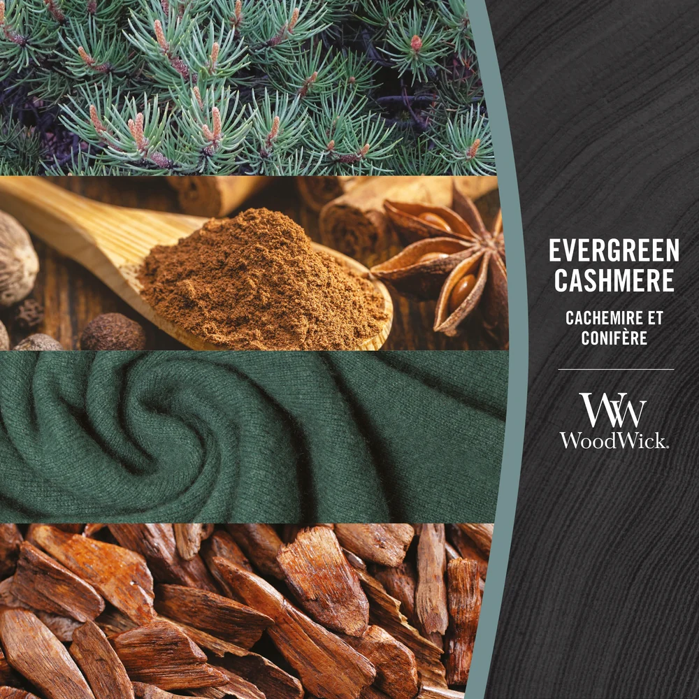 Woodwick Evergreen Cashmere Ellipse en Cashmere - Image 4