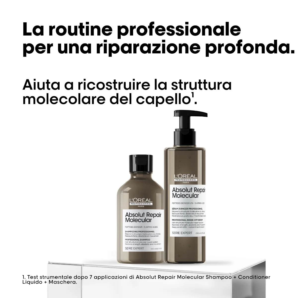 L'oreal Professionnel L'Oreal Professionel Glacial Utopia Limited Edition Absolu Repair Molecular Duo Set V1 - Image 4