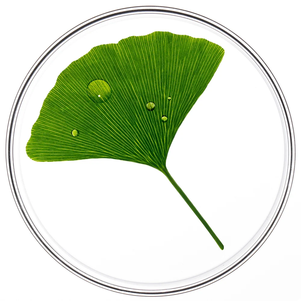 Phyto Phytocyane Trattamento Anti Caduta Donna Caduta Temporanea 12x5 ml - Image 2
