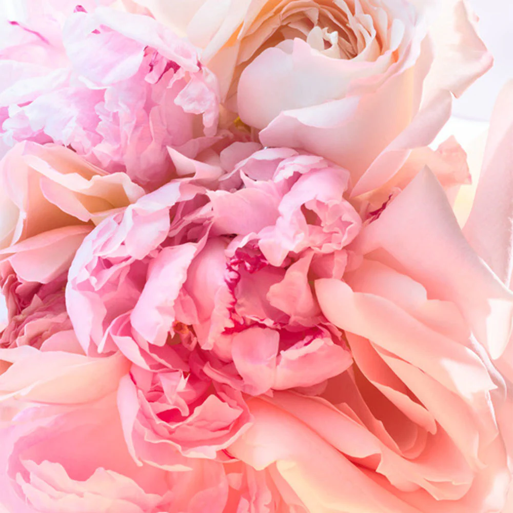 Bulgari Rose Goldea Blossom Delight 50 ml - Image 6