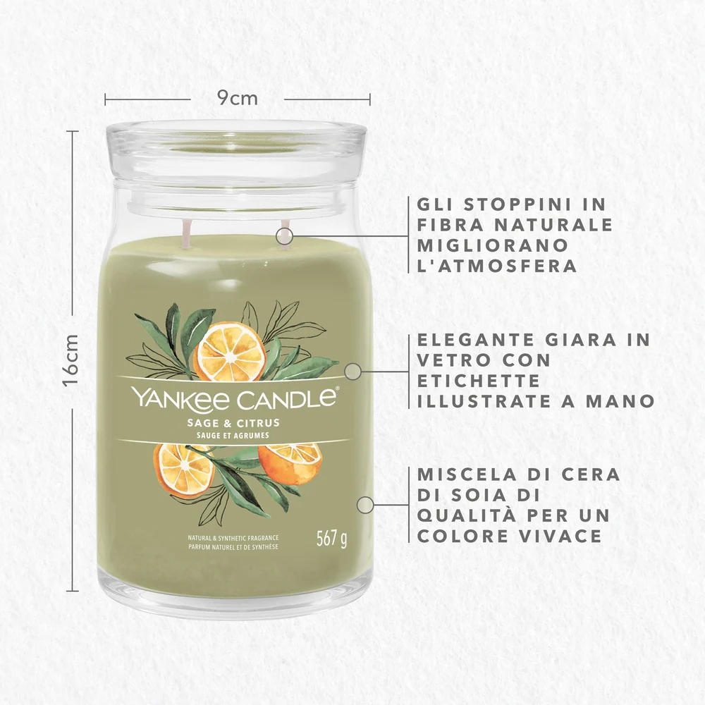 Yankee Candle Sage & Citrus Signature Grande  Citrus Signature - Image 3